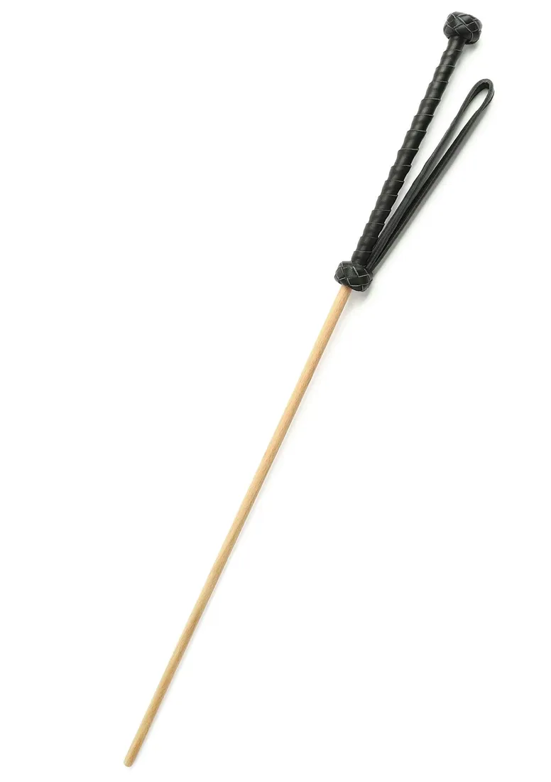 the-obedience-cane