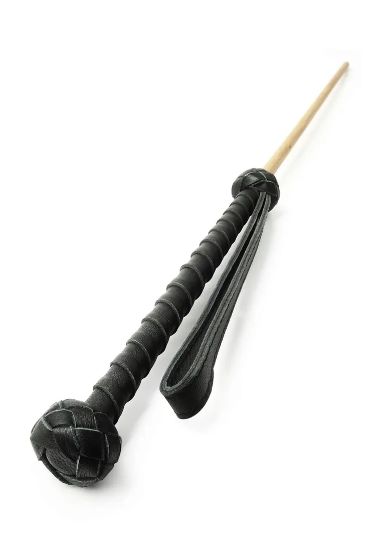 the-obedience-cane