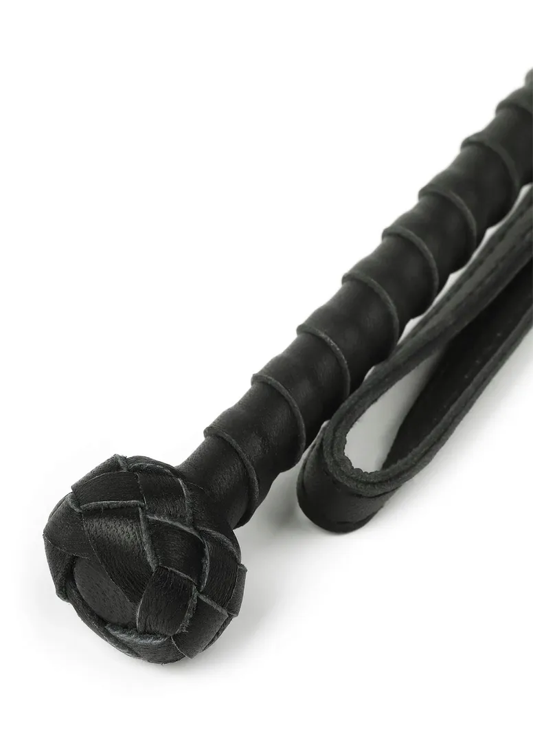 the-obedience-cane
