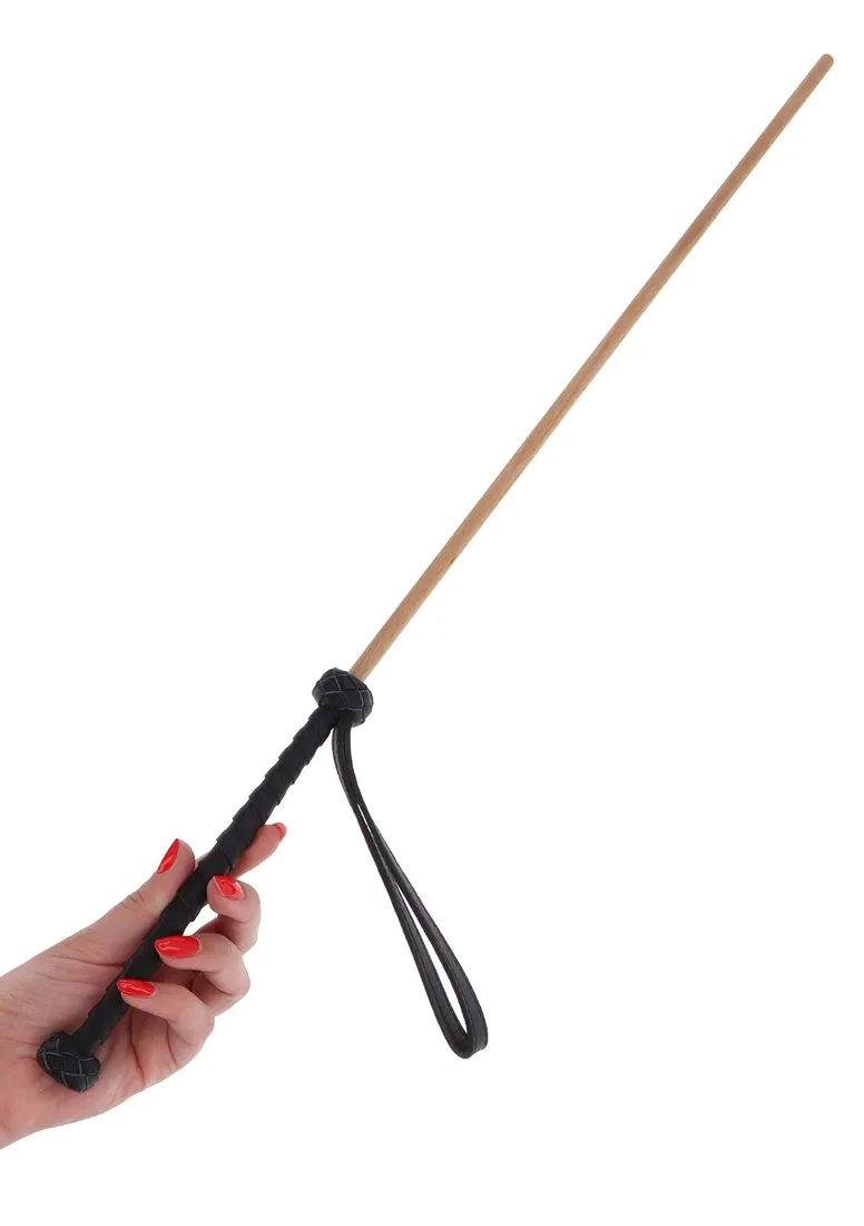 the-obedience-cane