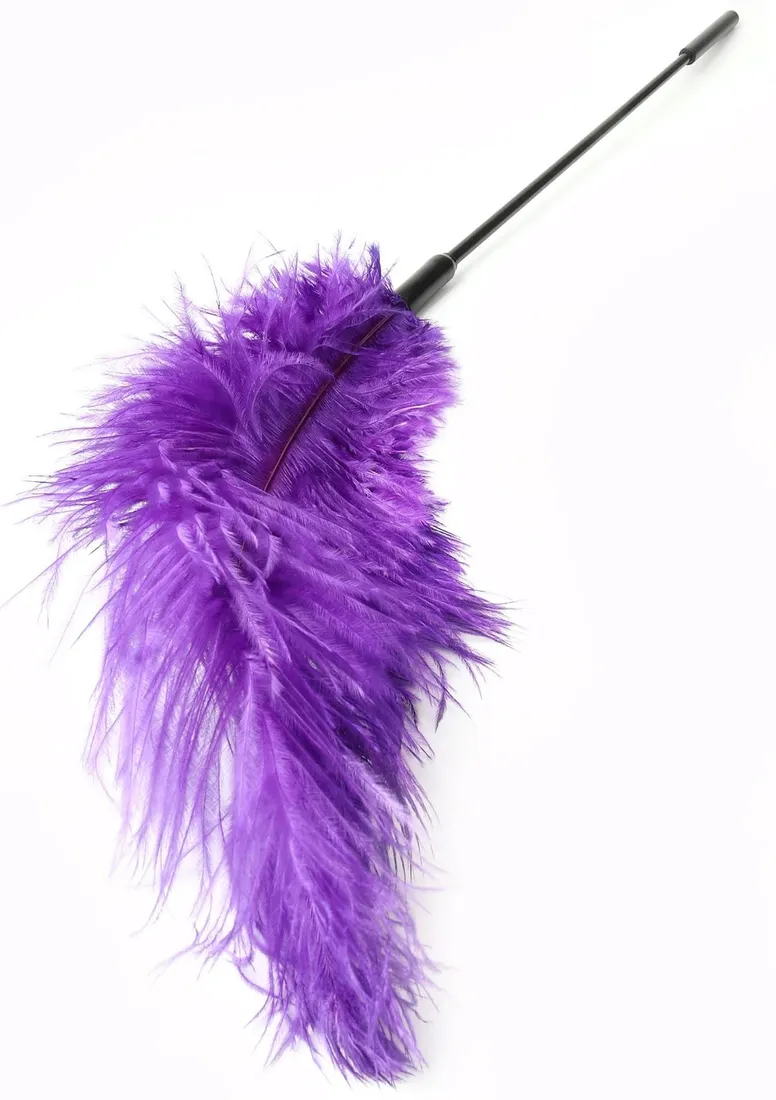 double-feather-tickler-purple