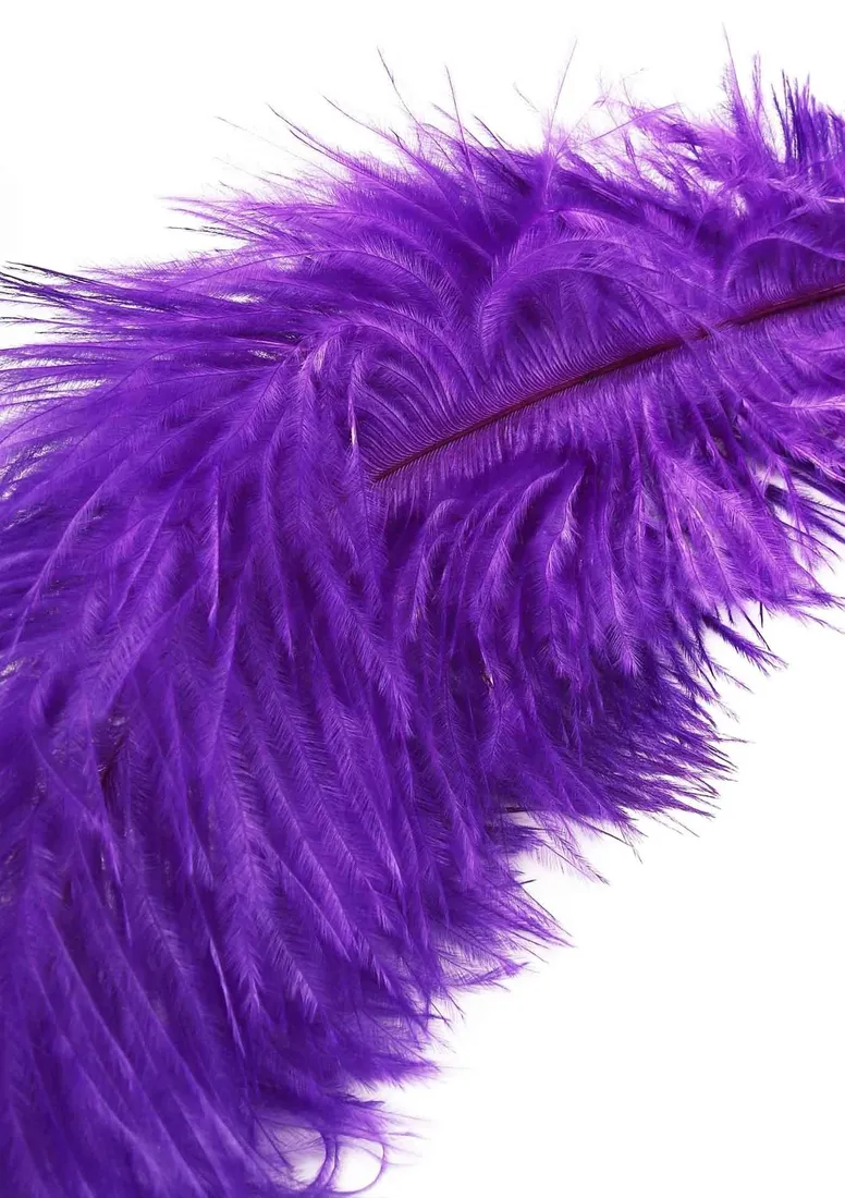 double-feather-tickler-purple-stan-nowy