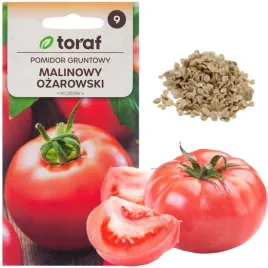 pomidor-gruntowy-malinowy-ozarowski-nasiona-pomidora-na-sosy-przetwory-05g