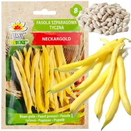 fasola-szparagowa-tyczna-zolta-10g-neckargold-nasiona-fasoli-zoltej-odporna