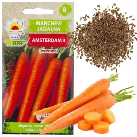 marchew-amsterdam-3-nasiona-marchwi-5g-amsterdamska-wczesna-soczysta-odmian