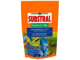 substral-magiczna-sila-nawoz-do-borowki-350g