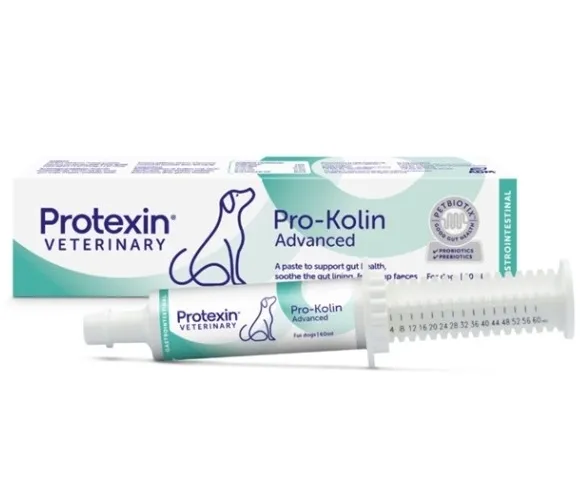 Protexin Pro-Kolin Advance 60ml Probiotyk Pasta na Biegunkę Trawienie Pies