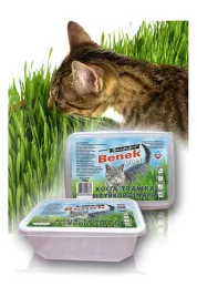 super-benek-kocia-trawka-szybkorosnaca-150g