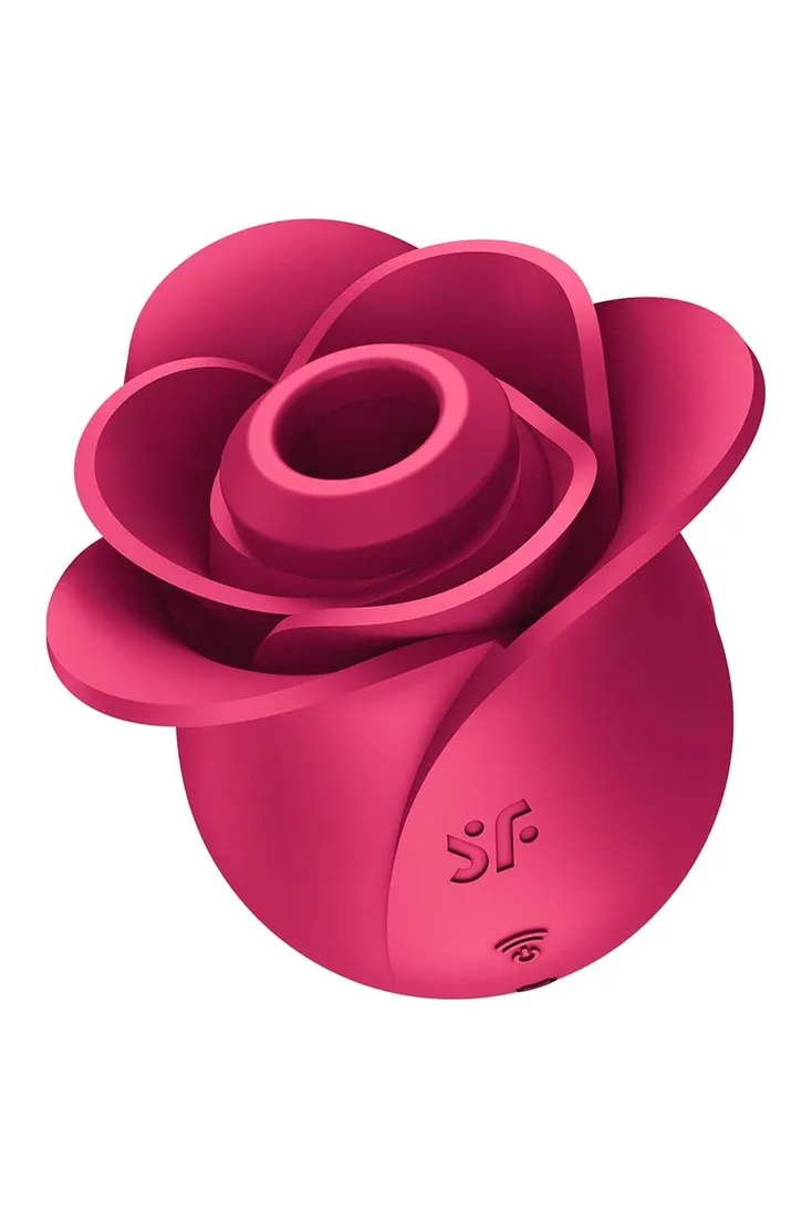 pro-2-modern-rose