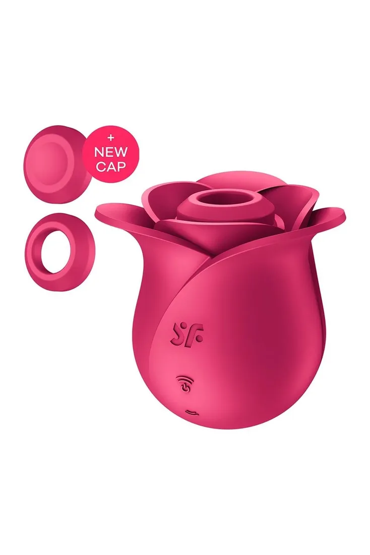pro-2-modern-rose