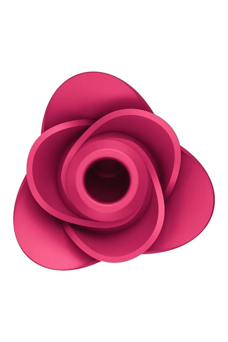 pro-2-modern-rose