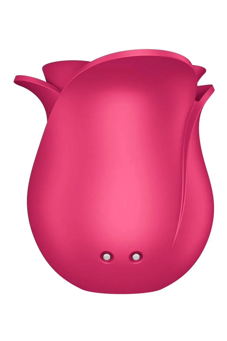 pro-2-modern-rose-stan-nowy