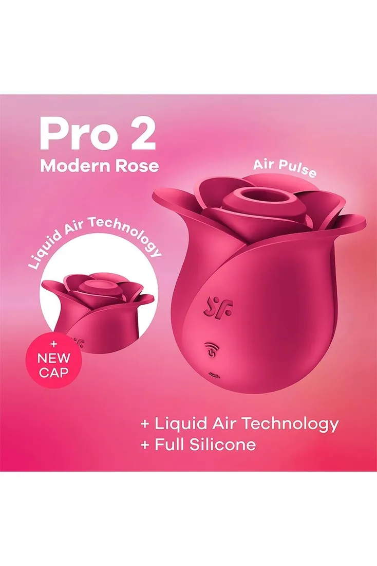 pro-2-modern-rose