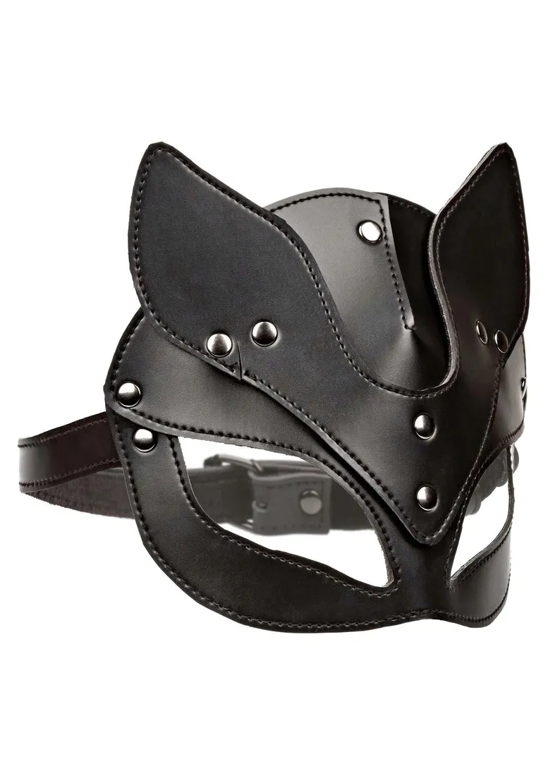 cat-mask-cat-mask