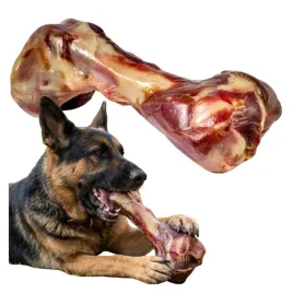 kosc-dla-psa-hiszpanska-z-szynki-serrano-duza-naturalna-noga-wieprzowa-xl