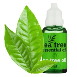 tea-tree-30ml-olejek-z-drzewa-herbacianego-herbaciany-duze-stezenie-mocny