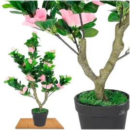 roslina-doniczkowa-jasmin-5239-50-cm