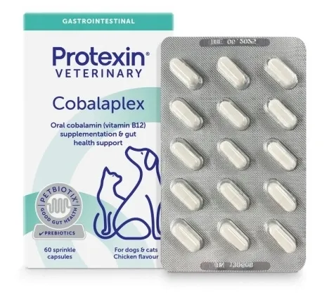Protexin Cobalaplex 60 kaps witamina B12 B9 prebiotyk dla psa i kota