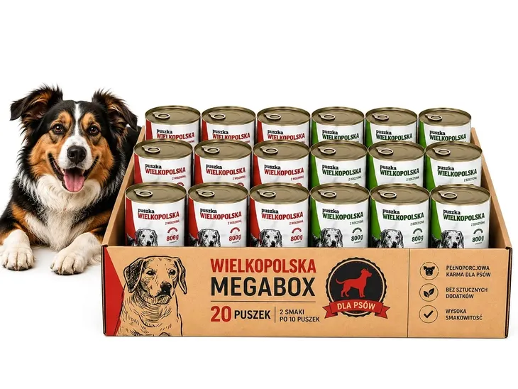 Megabox Karma dla Psa Mix Smaków 20 x 800 16kg