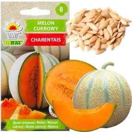 melon-nasiona-melona-cukrowy-charentais-duze-smaczne-soczyste-slodki-1g