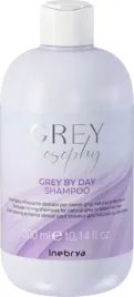 inebrya-grey-by-day-hair-shampoo-for-neutralisation-of-yellow-tones-300