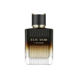 elie-saab-l-homme-intense-eau-de-parfum-for-men-100-ml