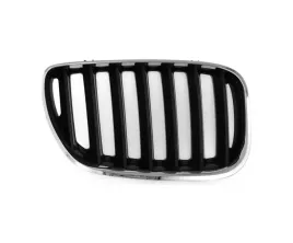 grill-atrapa-do-bmw-x5-e53-2004-2006-51137113734-prawa-czarny