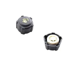 korek-zbiorniczka-wyrownawczego-do-renault-megane-1999-2002-820048024