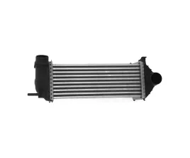 intercoolery-do-mercedes-benz-citan-w415-2012-2021-4150900114