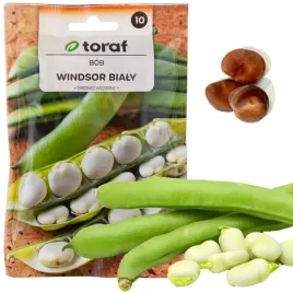 nasiona-bobu-bob-windsor-bialy-srednio-wczesny-bardzo-plenny-50g-smaczny