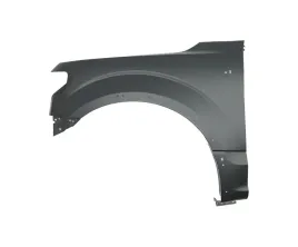 blotnik-do-ford-f-150-2018-2021-jl3z16006b-lewa