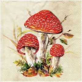 serwetka-do-decoupage-33x33cm-toad-muchomory-1szt