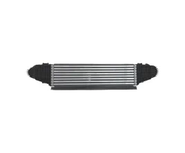 intercoolery-do-ford-mustang-2024-2716528