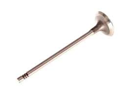 trw-zawor-ssacy-peugeot-1-6-16v