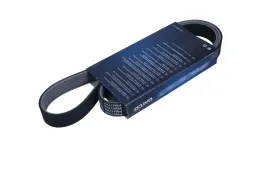 dayco-pasek-wielorowkowy-6pk1059pm