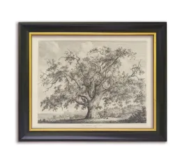 obraz-vintage-na-plotnie-w-drewnianej-ramie-rysunek-stare-drzewo-wiaz