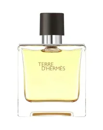 hermes-terre-d-hermes-eau-de-parfum-for-men-75-ml-tester