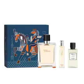 set-hermes-terre-d-hermes-eau-de-toilette-for-men-100-ml-terre-d-herm