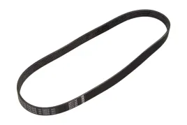 bosch-pasek-wielorowkowy-6pk976