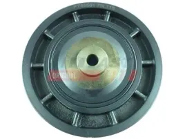 kolo-pasowe-walu-renault-trafic-01greater-1-9-dci