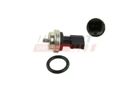 czujnik-temp-wody-renault-master-iii-10greater-2-pin