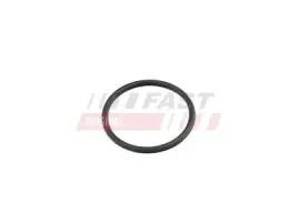 oring-ford-transit-06greater-pompy-wody