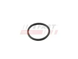 oring-ford-transit-06greater-krociec-2-2-2-4-3-2-tdci-13greater-2-2-tdci