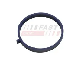 uszczelka-kolektora-ford-transit-06greater-ssacy-11greater-2-2-tdci