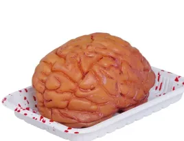 dekoracja-sztuczny-mozg-na-tacy-19-cm-horror-straszna-ozdoba-halloween