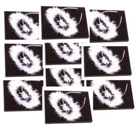 10-x-biala-aureolka-opaska-aureola-puszek-aniol-swieta-jaselka