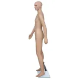 vidaxl-manekin-meski-a-kod-producenta-30018