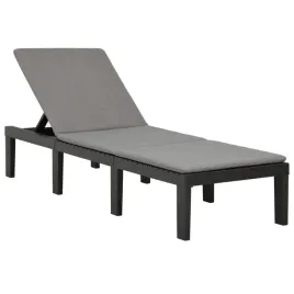 vidaxl-lezak-z-poduszka-plastikowy-antracytowy