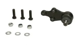 sworzen-wah-kia-carnival-06-delphi