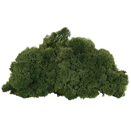 mech-chrobotek-reniferowy-finski-zielony-500g-dekoracyjny-ognioodporny